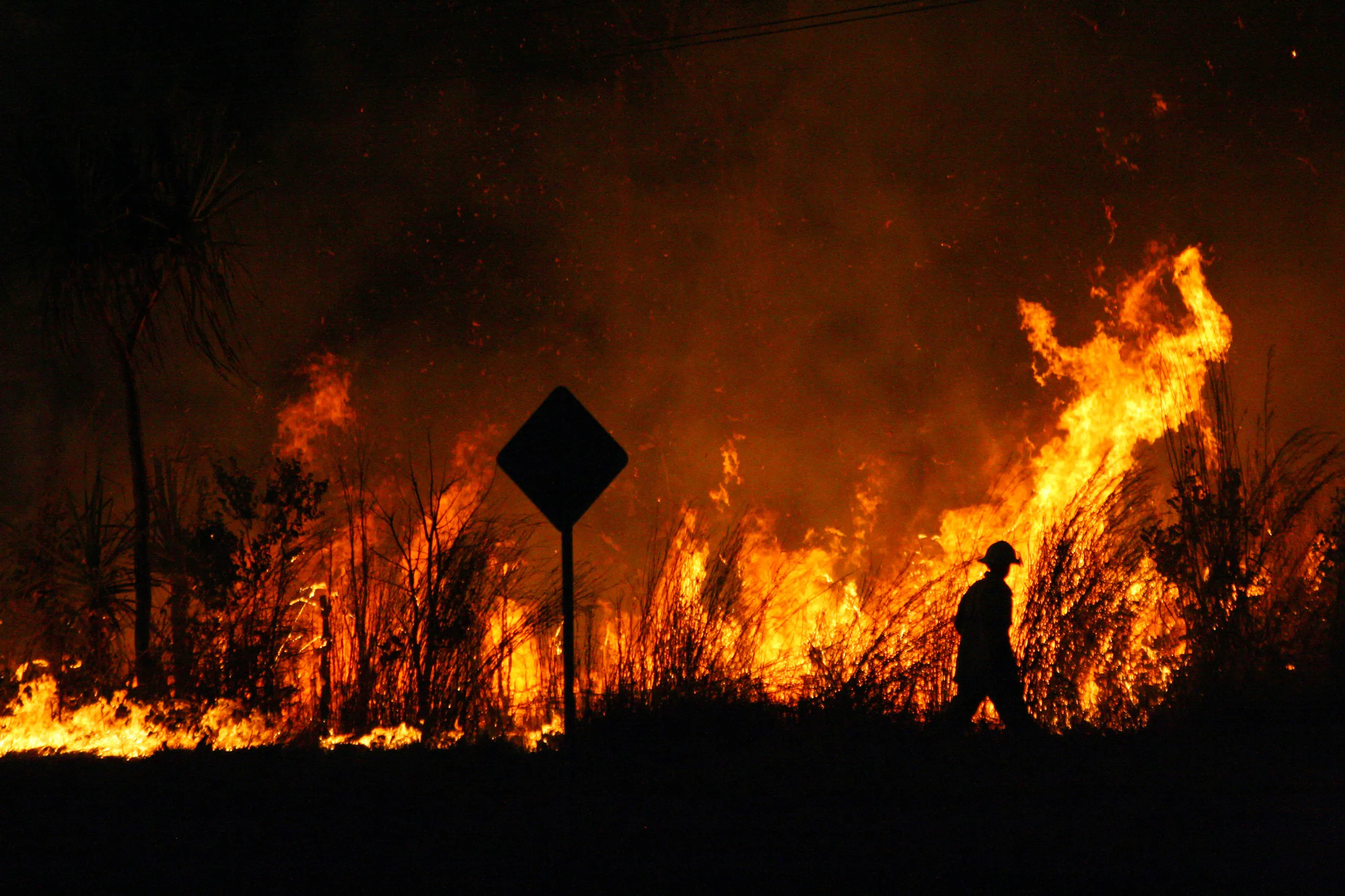a fire in the night